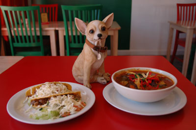 BARK AND BITES: Chihuahua's mascot flanked by pork tacos and albondigas soup.Lisa Mauriello. - Chihuahua Mexican Grill