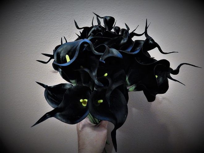In Tampa Bay, we love horror. That's why Calla lilies — black, of course — are all the rage for St. Petersburg's newest holiday — Valenwe'en's Day. Black is the new red, y'all. - via the Valentwe'en Facebook page