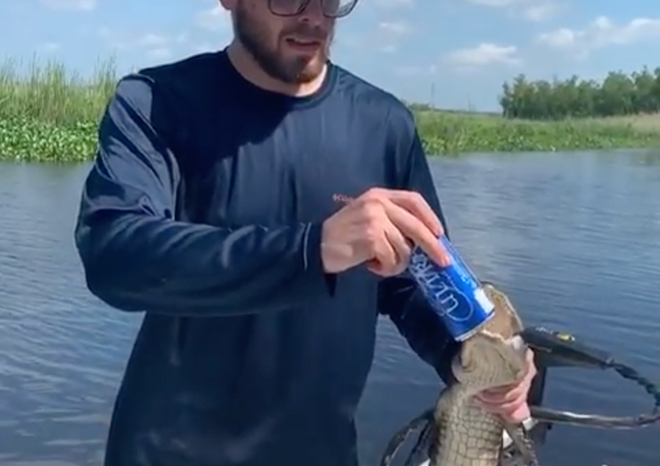 Giant dumbass uses small gator to open a can of beer