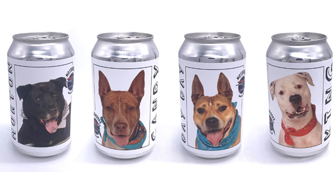 Bradenton's Motorworks Brewing is putting adoptable dogs on their cans