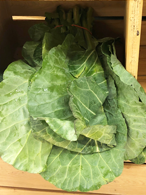 Yep, the collards are coming. - Effie Orfanides