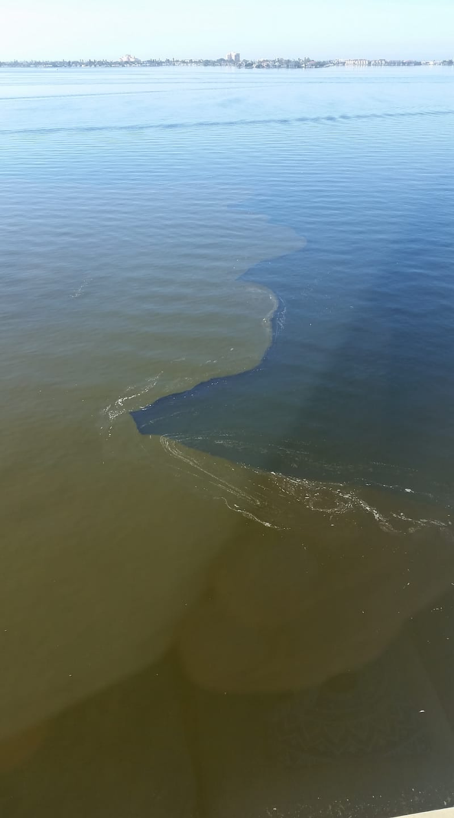 Red tide washes ashore in Gulfport
