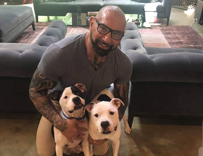 Actor and former WWE star Dave Bautista adopts two Tampa shelter pit bulls