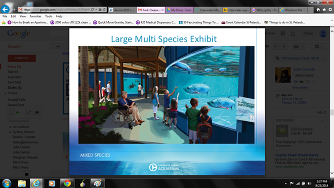 Clearwater Marine Aquarium's Big Future Plans - Clearwater Marine Aquarium