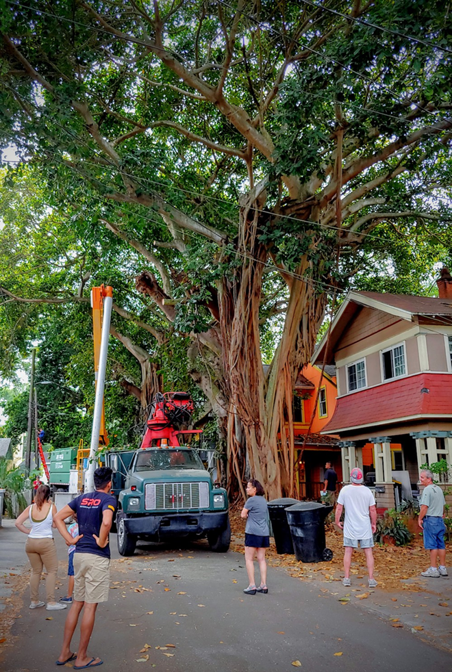 Granville Court neighbors gather around a banyan tree in St. Petersburg, Florida in April 2020.