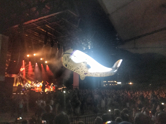 At the end of The Decemberists' set, a giant whale attempts to devour the crowd.