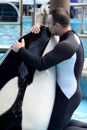 “Your entire life has been built on this identity and you think you’re abandoning the whales," Hargrove says about his conflicted decision leaving SeaWorld. "Then you have to deal with your own guilt." - COURTESY OF JOHN HARGROVE
