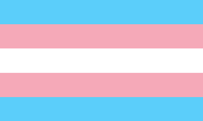 Transgender_Pride_flag.svg - Wikimedia Commons