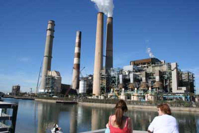 WARM AND FUZZY POWER: Families watch manatees that winter next to Tampa Electric's coal-burning Big Bend Plant. - Wayne Garcia