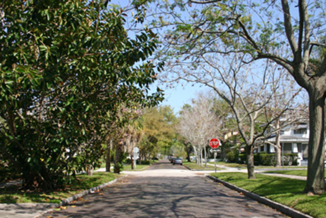 LEAFY STREET: A broad shaded avenue in the Old Northeast. - Phil Bardi