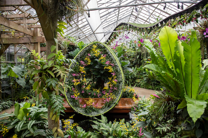 Think of Endless Forms as a sort of "secret lives of orchids" show. - Marie Selby Botanical Gardens