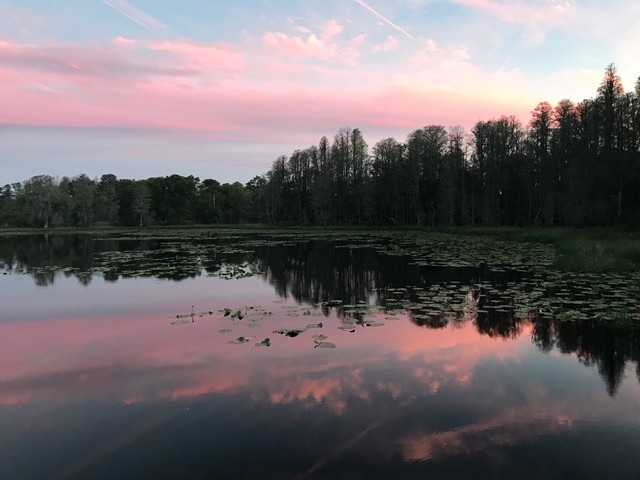 Wetlands within the preserve, reflecting sunset in spring of last year. - Laura Hensley