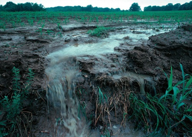 Nonpoint source pollution comes from many diffuse sources, but in the aggregate creates a formidable challenge for municipal, state and federal environmental and water control authorities -- and is likely the largest threat to our water quality. Pictured: Runoff of fertilizer-laced soil from a farm. - USDA
