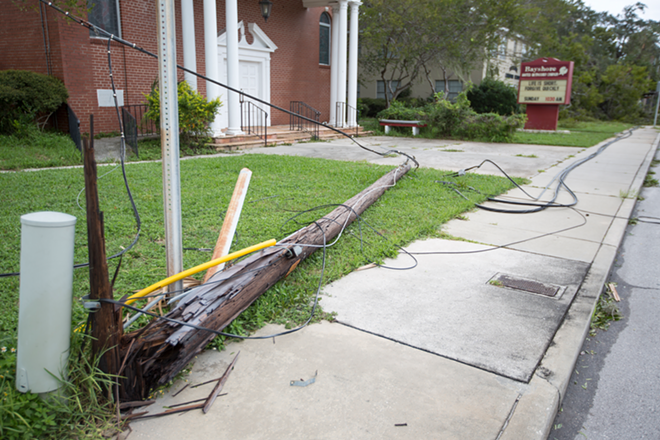 Also in the Ballast Point area a large oak tree snapped two poles pulling down large power lines in front of the Bayshore United Methodist Church on MacDill Avenue - Chip Weiner
