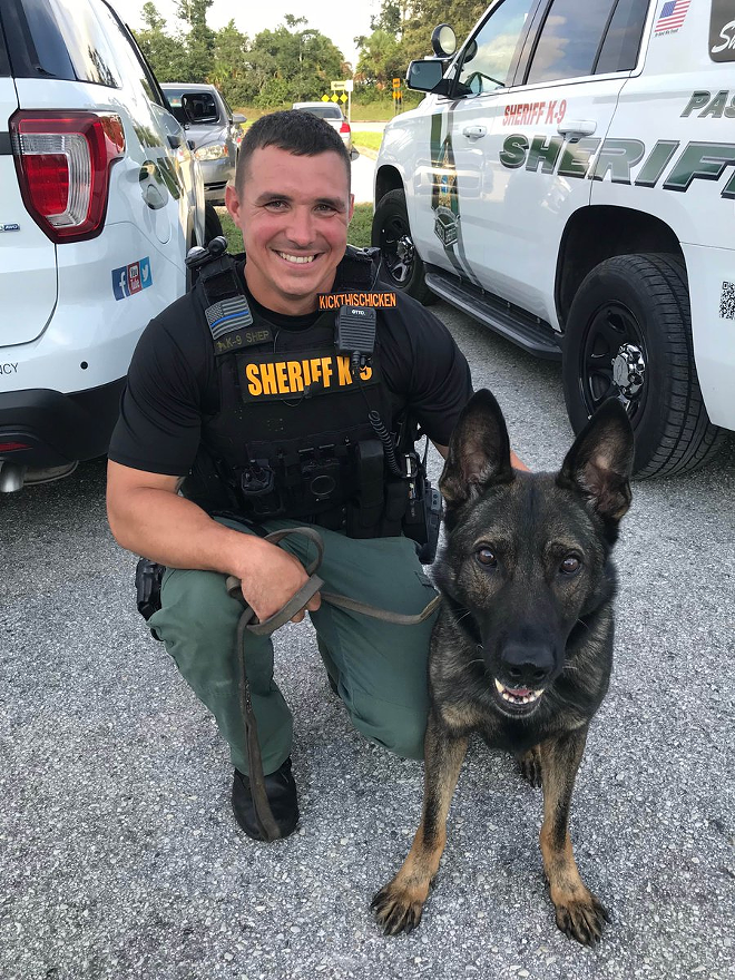 Shep, the pup in Pasco County who really needs no introduction. - Pasco Sheriff via Twitter