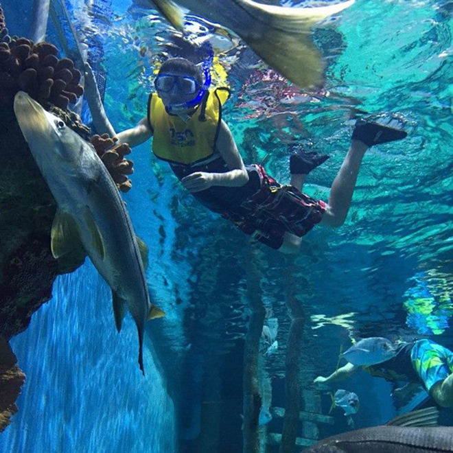 Best Place to Snorkel Indoors - RumFish Grill Facebook