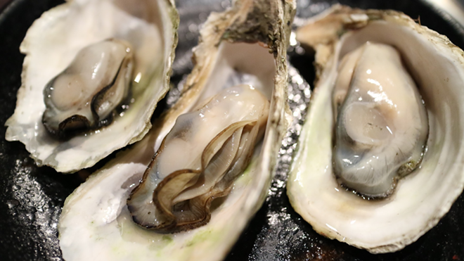 Zephyrhills Brewing's Shellfish Choice Oyster Stout is made with 50 fresh oysters from the gulf. - Pixabay