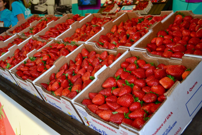 Florida Strawberry Festival cancels concerts for 2021 event in Plant City