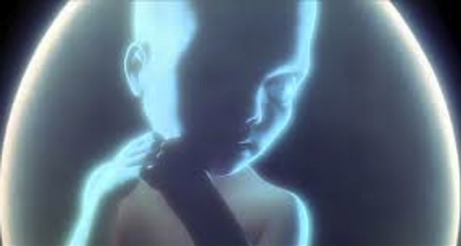 Is the proposed ban on sex and race-based abortions in FL a veiled attack on women's rights? - 2001 a space odyssey