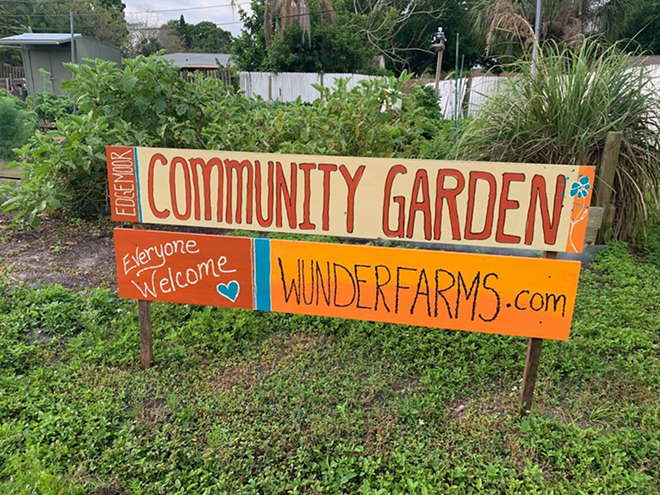 Wunderfarms in St. Pete is hosting a Seedling Day this Sunday
