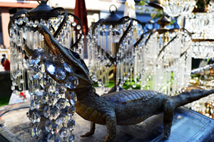 The author stumbled upon a baby alligator with cut glass in its mouth at French flea market. - TYLER GILLESPIE