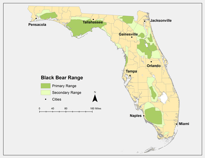 WHEREVER THEY MAY ROAM: A chart showing Florida black bear habitat. - Florida Fish & Wildlife Conservation Commission