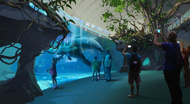 Clearwater Marine Aquarium's next big project is a large manatee rehabilitation habitat in the former dolphin exhibit. - CLEARWATER MARINE AQUARIUM