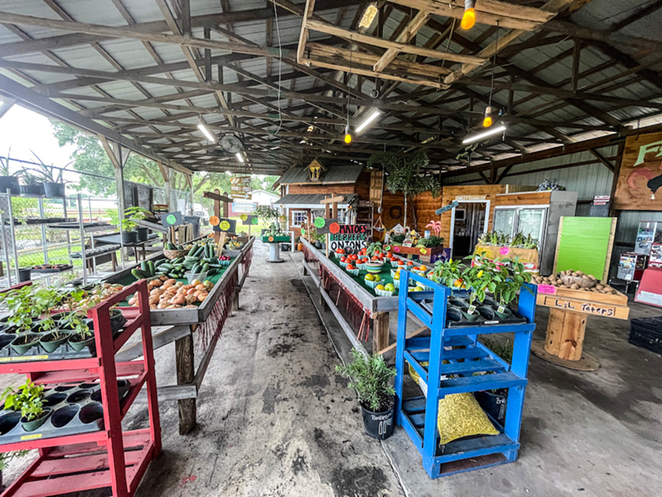 The newest owners of The Market at St. Martin Farms on Redman Parkway in Plant City are working hard to turn it into a must-visit stop halfway between Lithia and Florida’s strawberry capital. - Jeff Houck