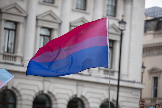Bisexual flag. - ADOBE