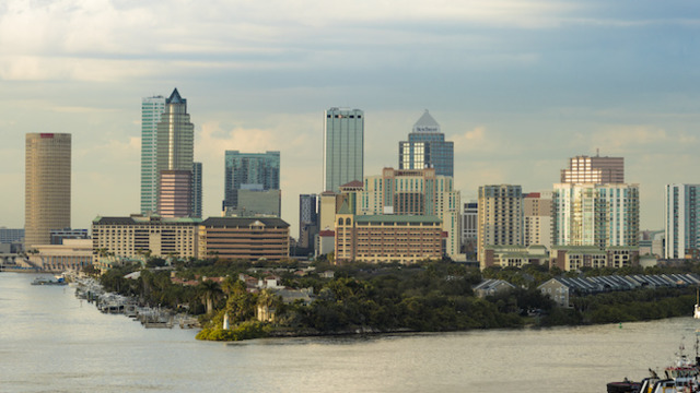 Tampa city skyline - ADOBE