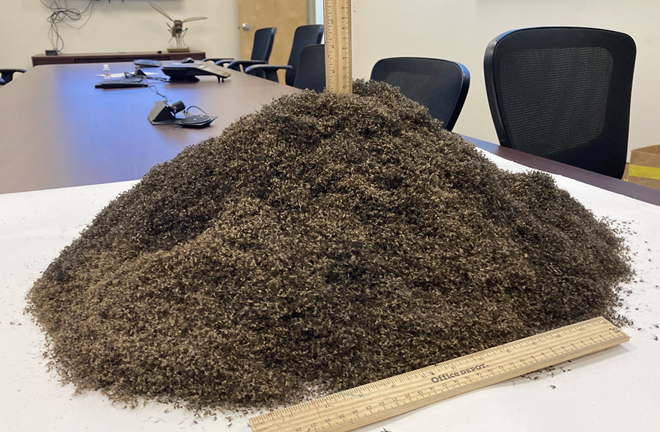 Florida pest-control agency wants you to know what 1 million dead mosquitos looks like