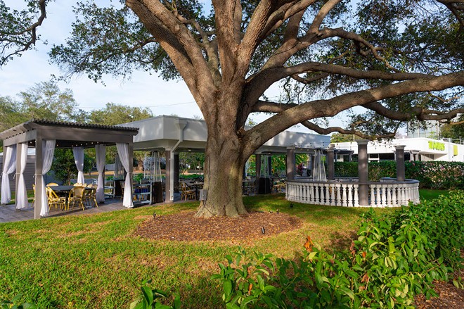To the south, under the beautiful, almost horizontal octopus-like Southern Live Oak, is a dramatic seating area comprised of a beautiful circular balustrade.  - VISITSTPETECLEARWATER.COM