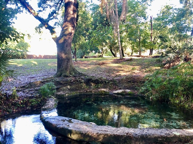 A curving path off Tampa's North River Shore Drive leads back through the woods until suddenly a grassy slope falls away into a small, startlingly blue pool. - Photo by Dr. Amanda Hagood