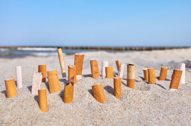 DeSantis signs bill to restrict smoking at Florida's public beaches and parks