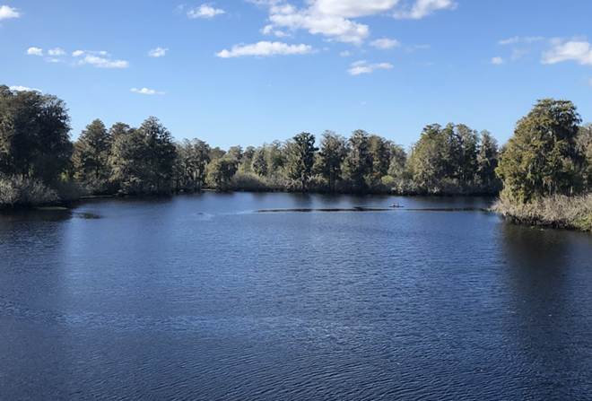 The Hillsborough River, as seen from the Lettuce Lake obeservation tower. - Photo by Colin Wolf