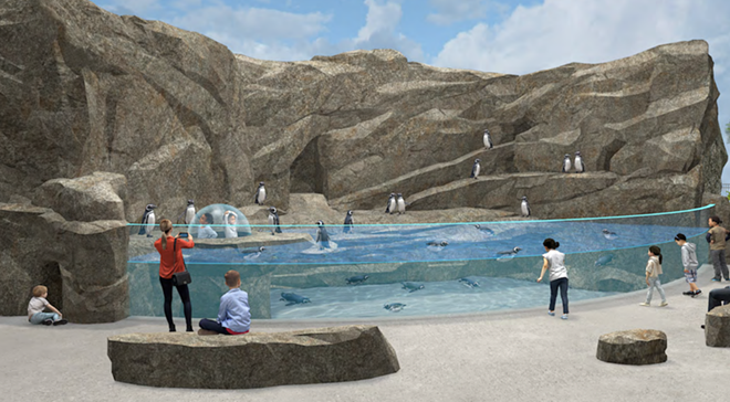 A 39,500-gallon habitat will feature a colony of up to 30 African penguins. - Space Haus