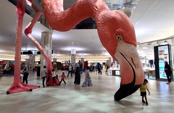 Tampa International Airport wants you to name the big flamingo