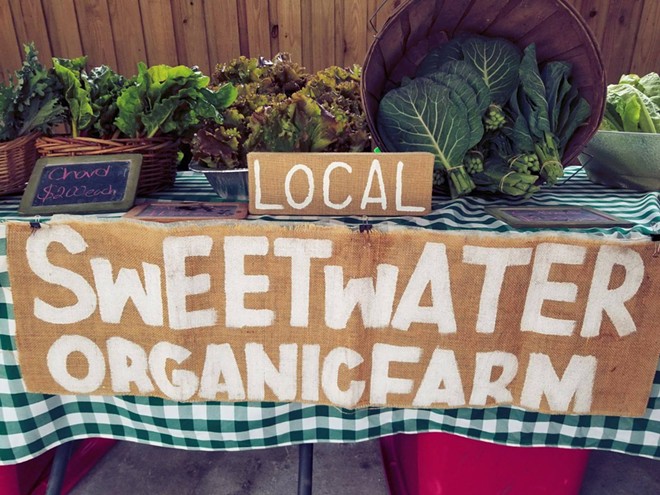 Tampa's Sweetwater Organic Farm hosts 29th annual ‘Pesto Festo’ fundraiser next month