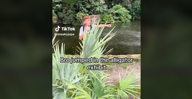 Busch Gardens Tampa Bay working with law enforcement after influencer jumps into alligator exhibit