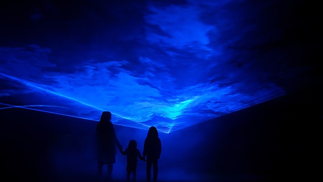 Massive immersive art installation 'Waterlicht' coming to downtown Tampa