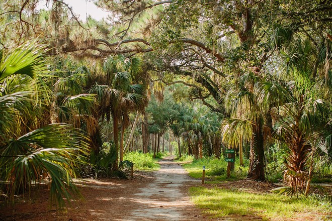 Boyd Hill Nature Preserve in St. Petersburg, Florida - Photo via cityofstpete/Flickr