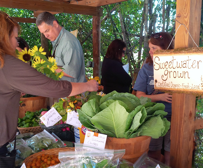 ‘Planter’s Ball’ raises money for Tampa’s Sweetwater Organic Community Farm