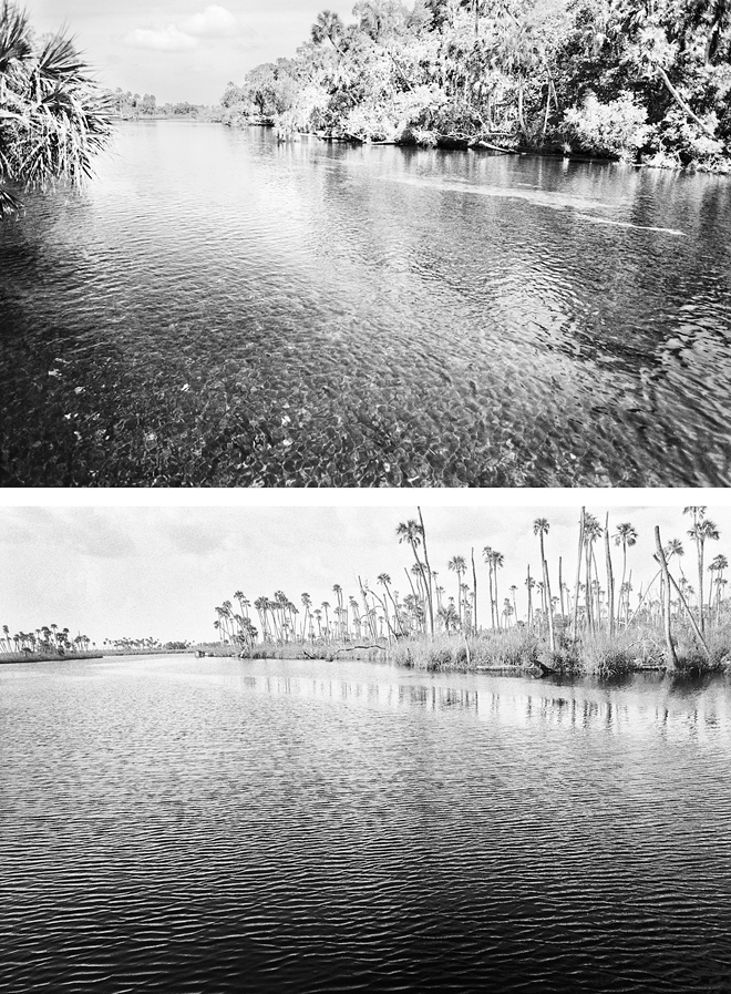 Dimmitt's 1986 photo (top) of the Chassahowitzka River is shown on the facing page of his 2020 photo (bottom) of the same location. - Photo by Benjamin Dimmitt