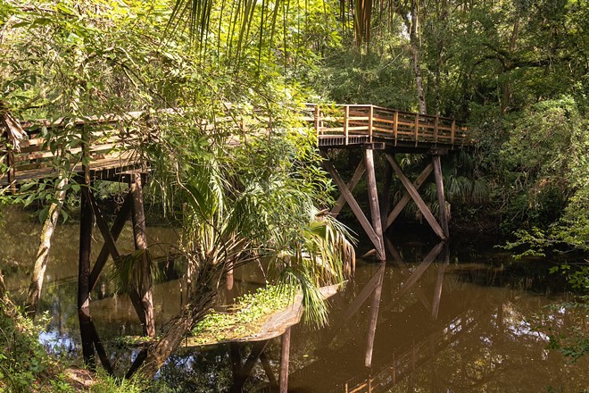 Hillsborough River State Park - Photo via Steven/Adobe