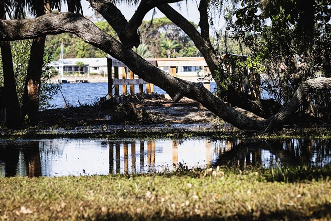 Little Bayou Preserve in St. Petersburg, Florida on Sept. 29, 2024. - Photo by Dave Decker