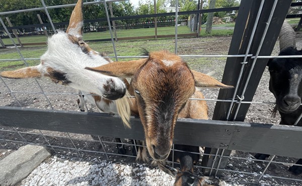 DK Farm’s nighttime event ‘Goats, Golf &amp; Good Times’ soft launches in Largo this weekend