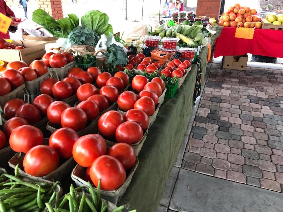Ybor City’s Saturday Market returns this weekend | Creative Loafing ...