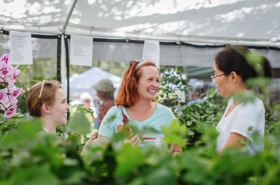 The annual Green Thumb Festival returns to St. Pete this weekend