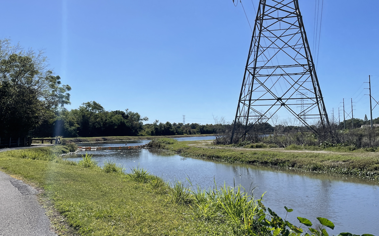 A portion of the 43-mile Long Bayou Watershed runs along the property, a crucial waterway for storm drainage.
