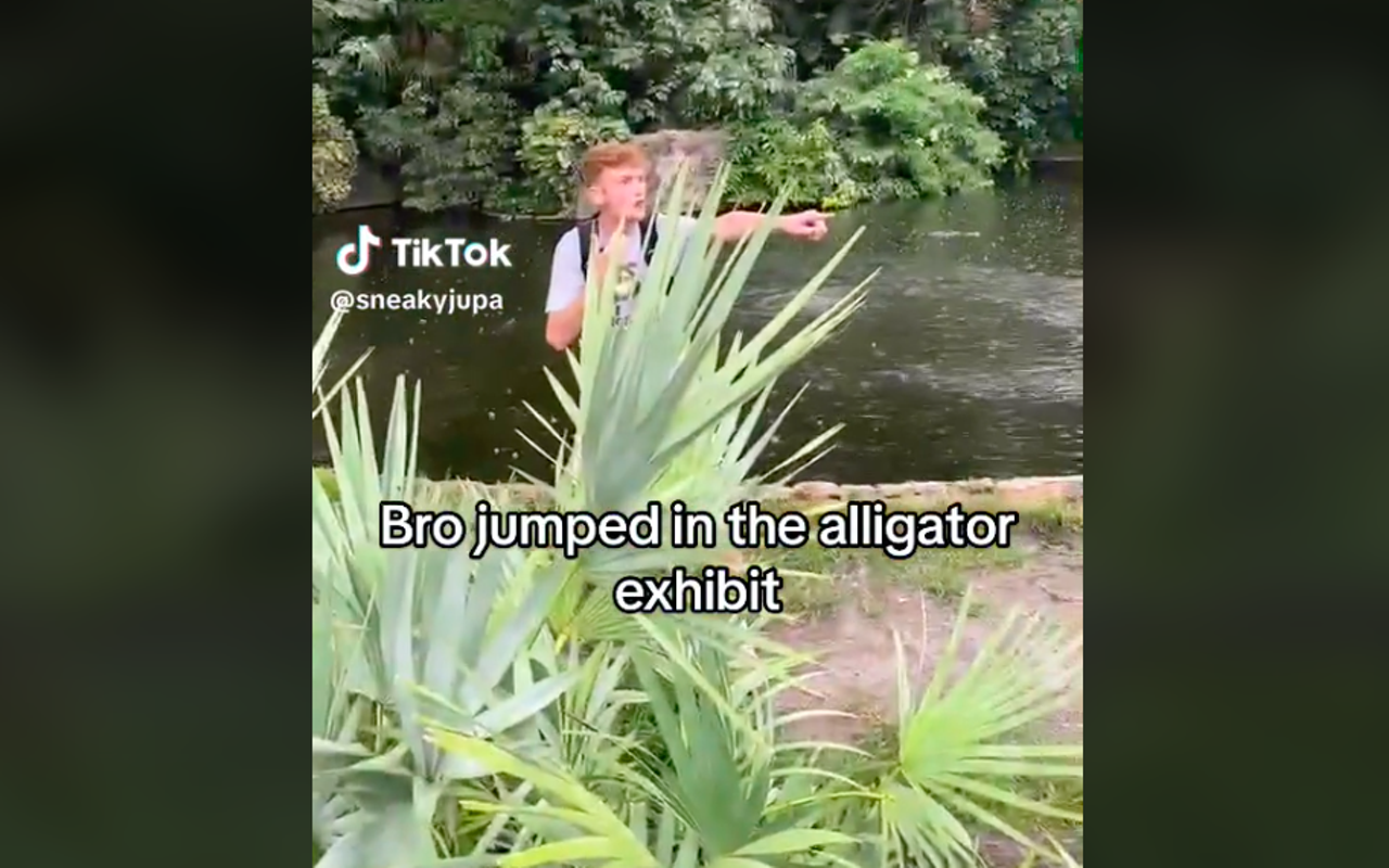 Busch Gardens Tampa Bay working with law enforcement after influencer jumps into alligator exhibit